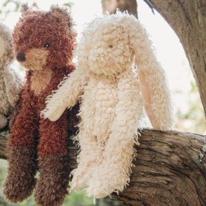 Harey the Bunny Rabbit