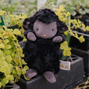 Wee Kiddo the Lamb – Black